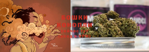 сатива Алексин