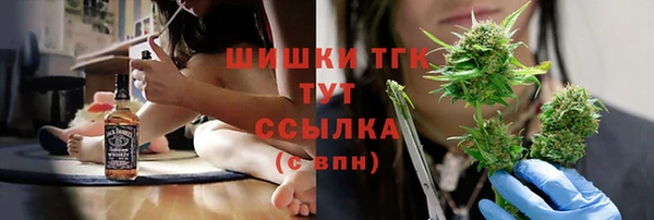 молекула духа Алексеевка