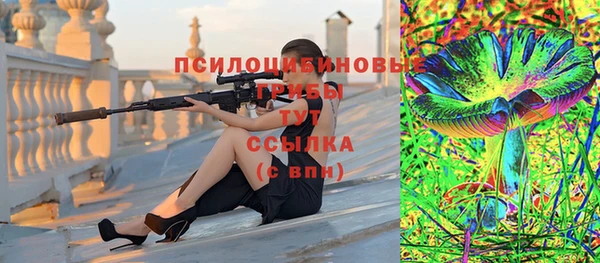 сатива Алексин