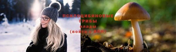 молекула духа Алексеевка