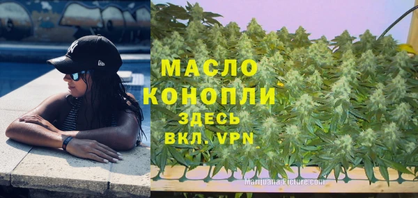сатива Алексин