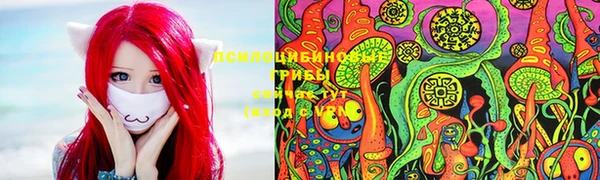 сатива Алексин