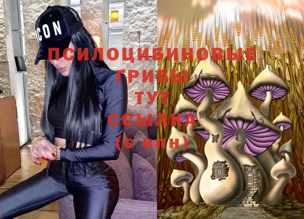 молекула духа Алексеевка