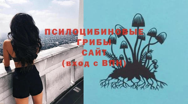 молекула духа Алексеевка