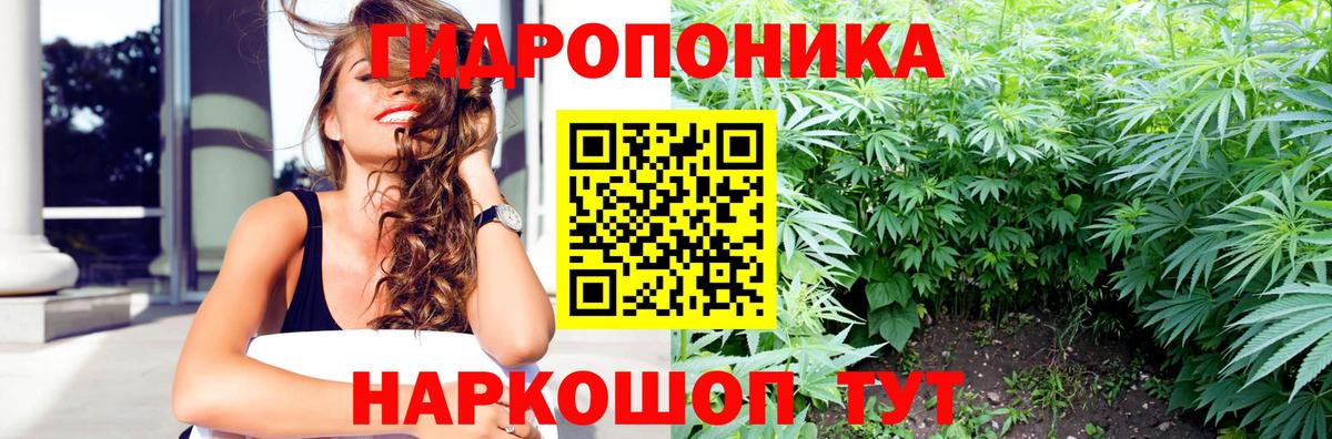 Шишки марихуана планчик  Каннабис марихуана  Лянтор  Вход с VPN 